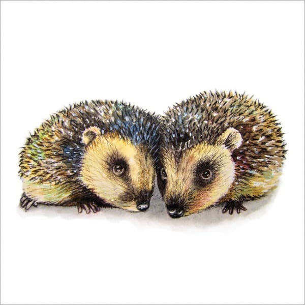 MM12 Two Hedgehogs-0