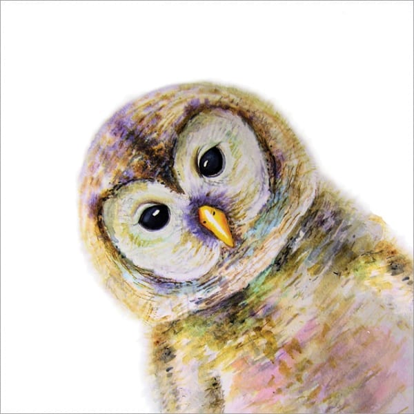 MM14 Owl-0