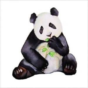 MM15 Panda-0