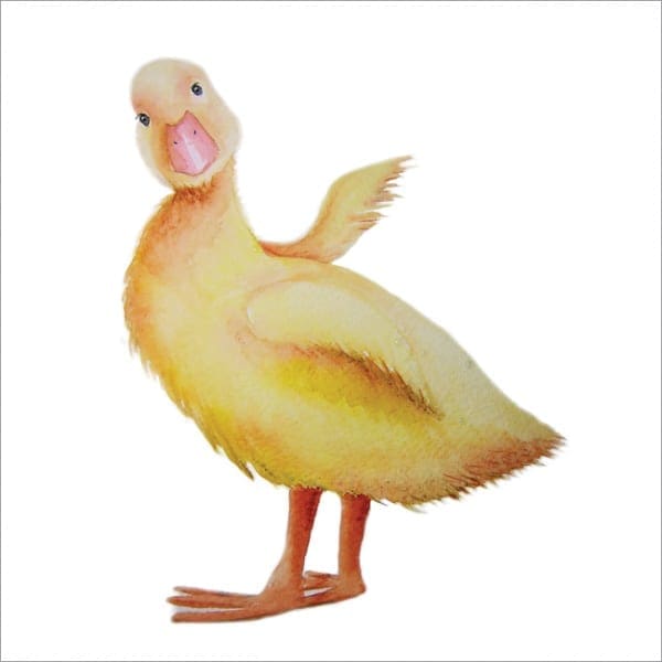 MM5 Duckling-0