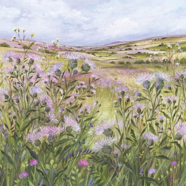 DD118 Lilac Thistle Field-0