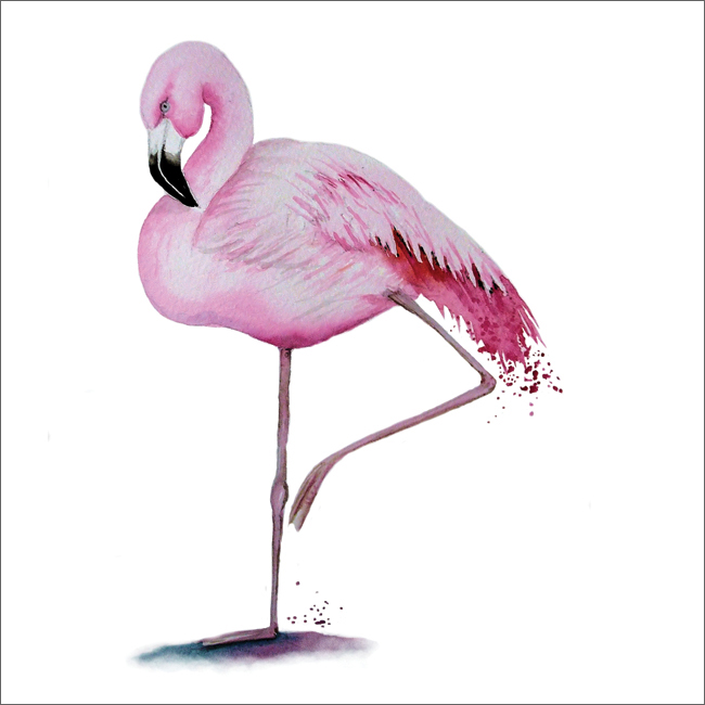 MM27 Flamingo-0