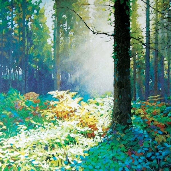 PB133 Forest Dawn 5-0
