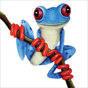 MM34 Blue Frog-0