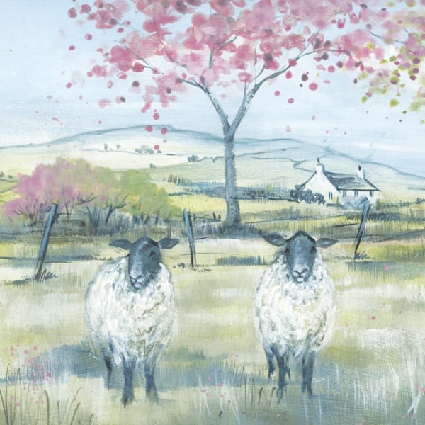 DD148 Sheep in the Meadow-0