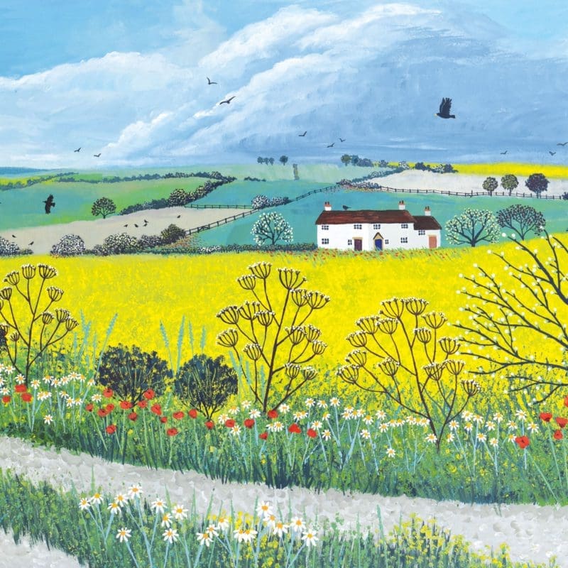 Canola Field Jo Grundy Nethertons Greeting Cards