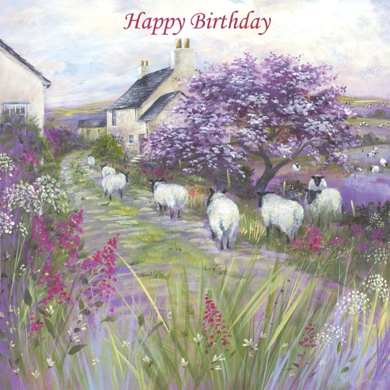 Sheep Blossom Yorkshire Country Diane Demirci Birthday Christian