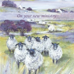 Sheep Moor Yorkshire Country Diane Demirci Ministry Christian