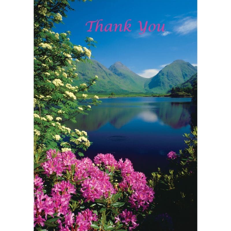 Summer Flowers Landscape Loch Reservoir Mountains Vista Lake VKGuy Thank Christian