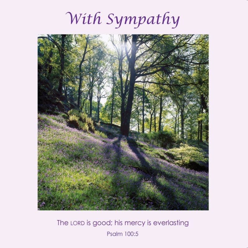 Forest Glade Trees Country VKGuy Sympathy Christian