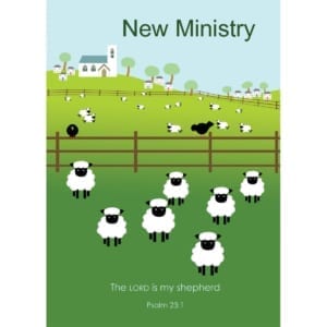 Sheep Spring Summer Field Shirley Netherton Ministry Christian