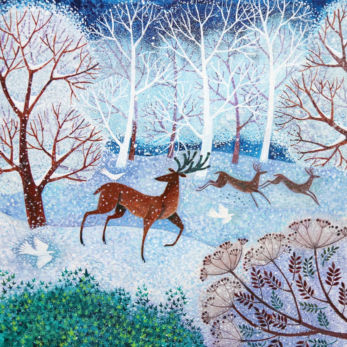 Cool Stag Lisa Graa Jensen Nethertons Greeting Cards