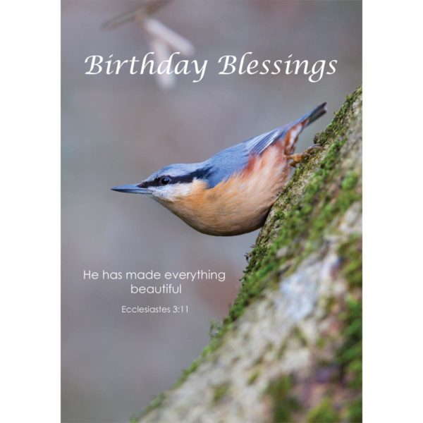 bird nuthatch bluetit moss nature david chapman nethertons birthday christian