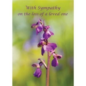 foxglove flower purple green david chapman nethertons sympathy christian
