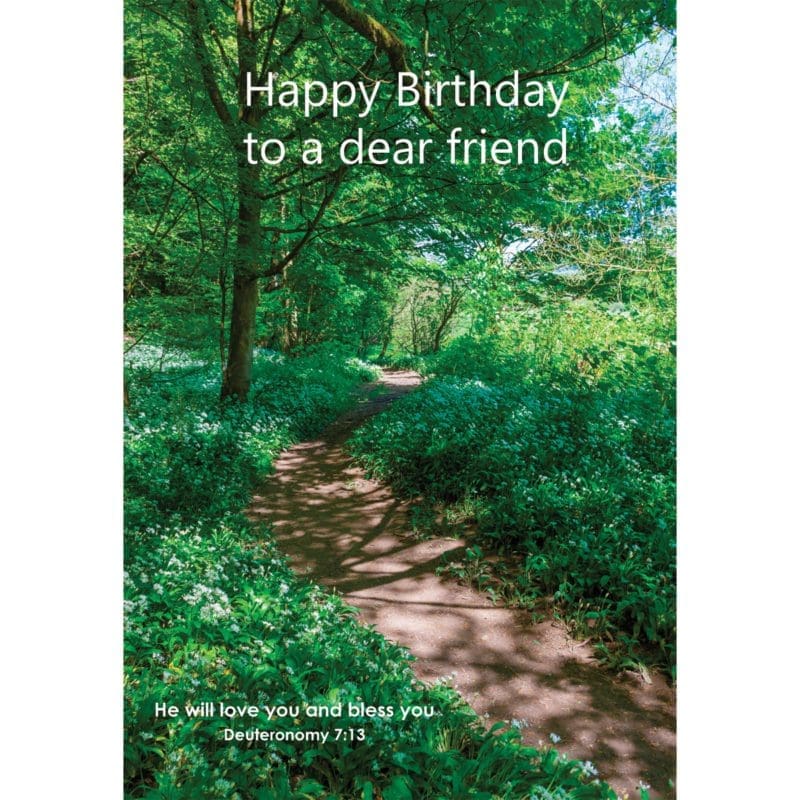 wood, forest, path, trees, flowers, glade, nethertons, vkguy, birthday, christian