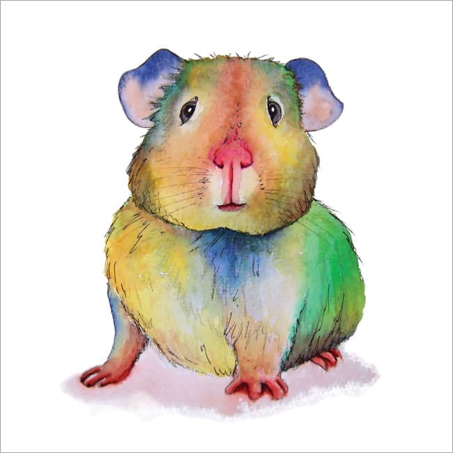 MM10 Guinea Pig-0