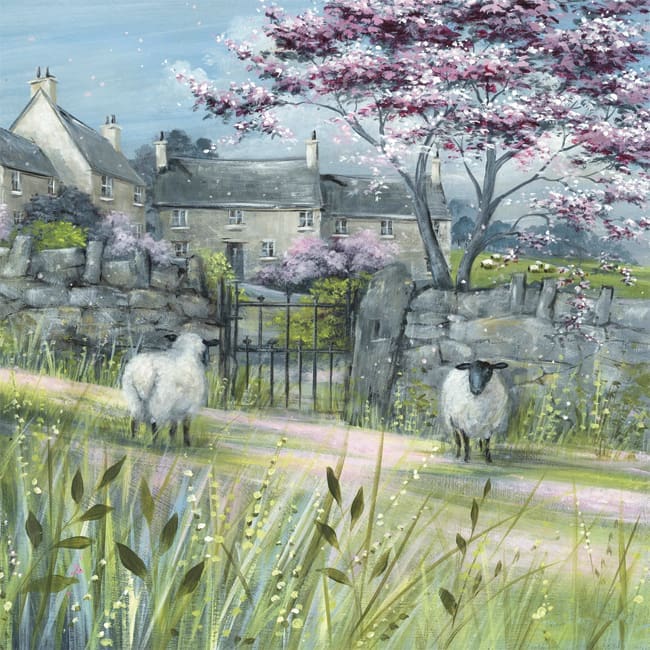 DD104 Sheep in Blossom Meadow-0