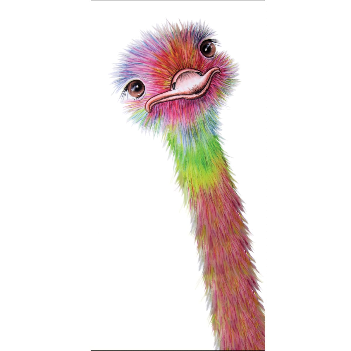 MM513 Ostrich