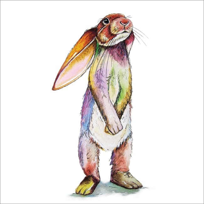 MM31 Rabbit-0