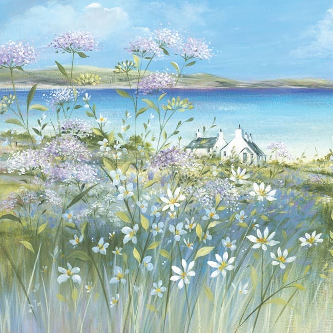 DD141 Coastal Blooms-0