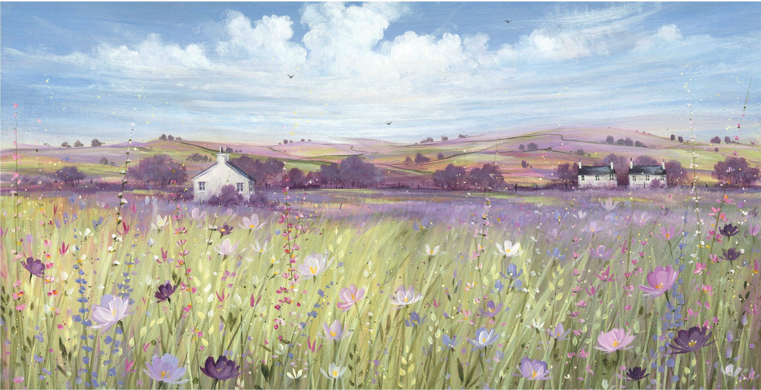 DD524 Meadows Of Spring