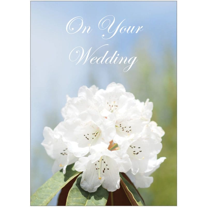 CN113 - On Your Wedding (Christian)