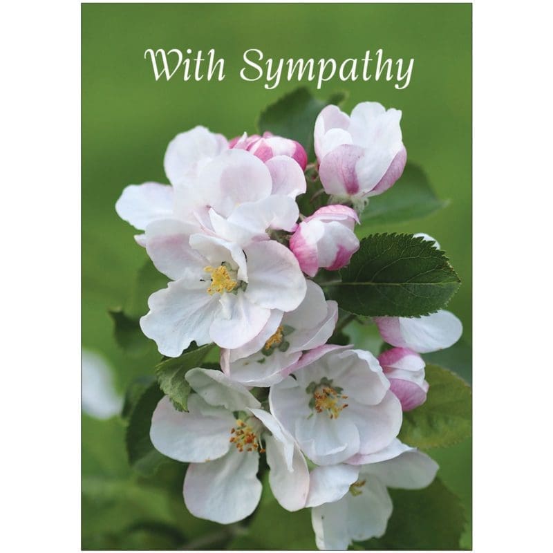 CN124 - With Sympathy (Christian)
