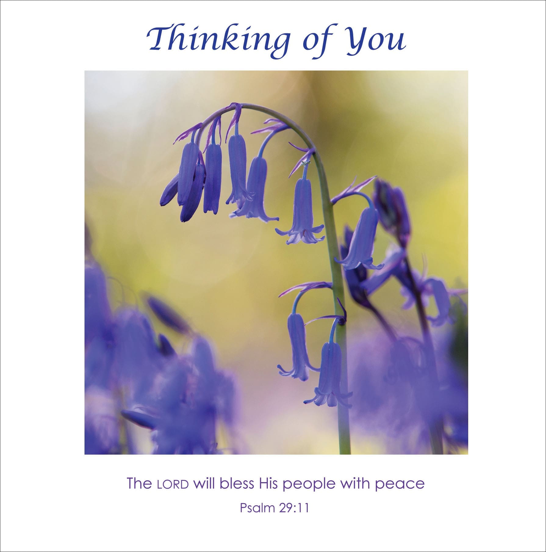 CDC218 - Thinking Of You (Christian)