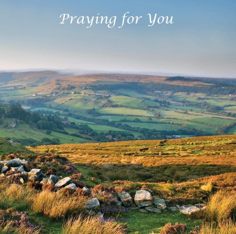 CDC265 - Praying For You (Christian)