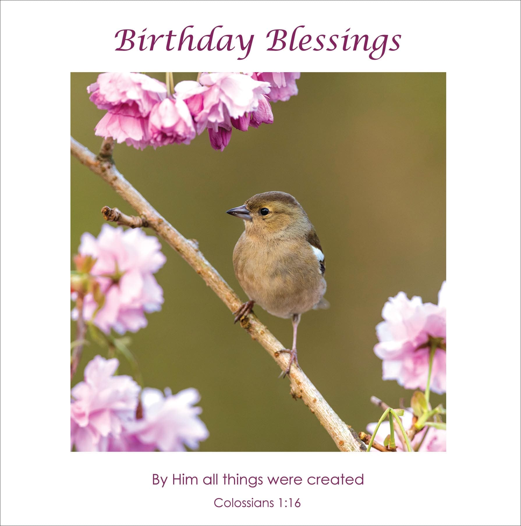 CDC297 - Birthday (Christian)