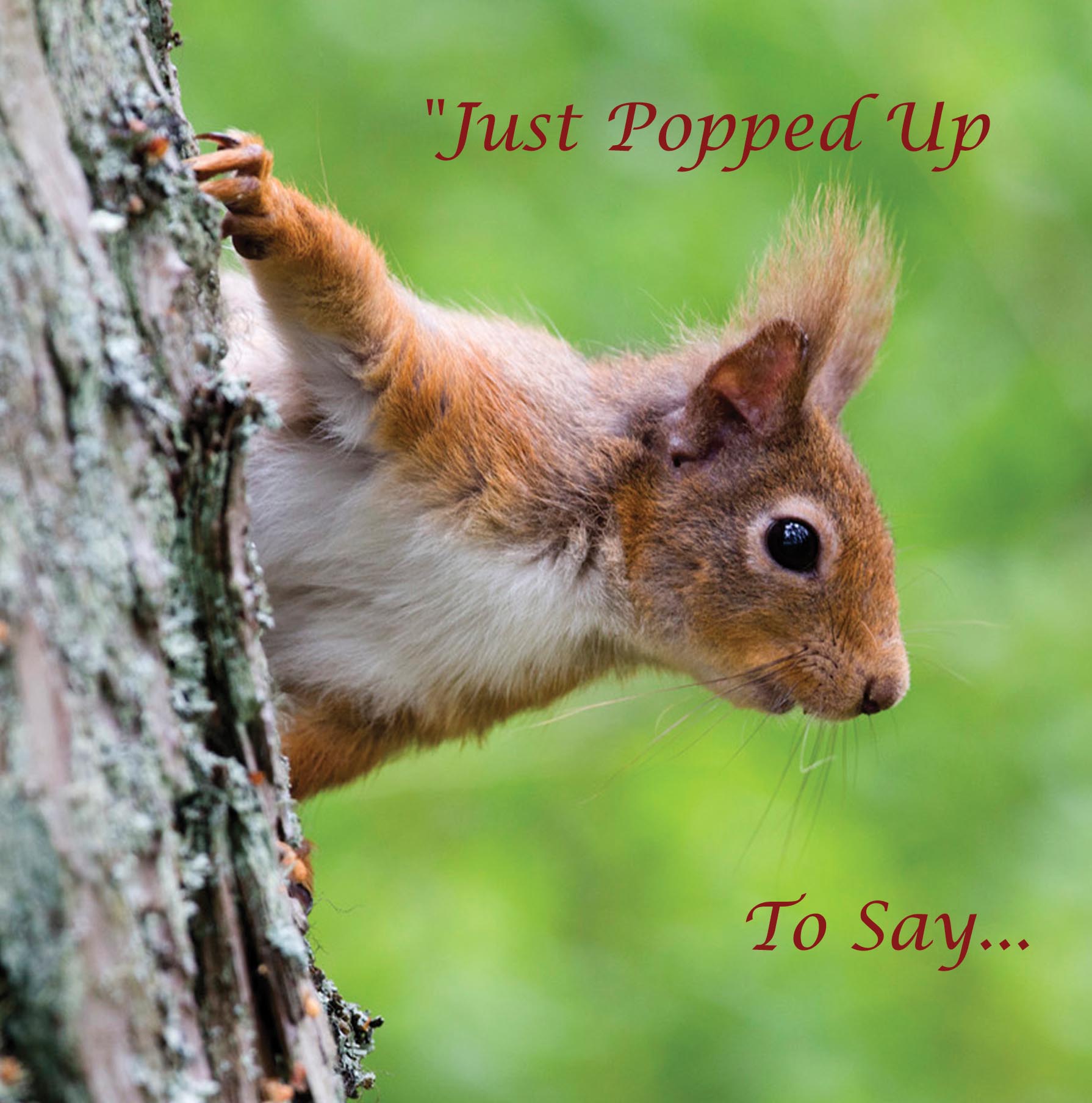 CDC318 - Just Popped Up To Say... (Christian)