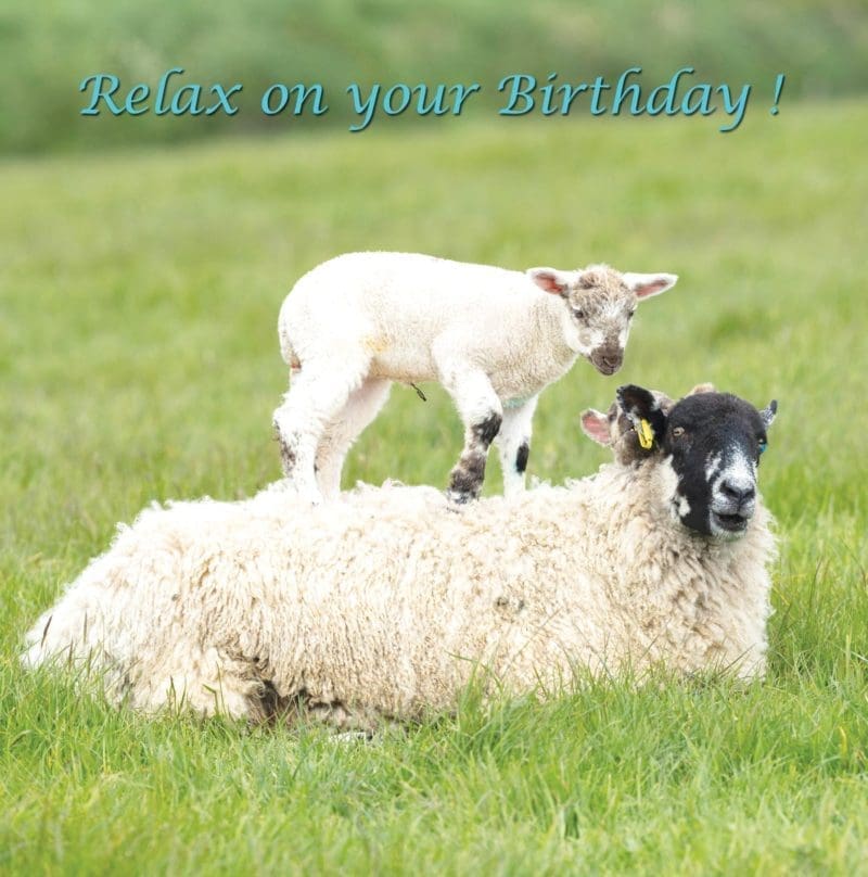 CDC344 - Birthday (Christian)