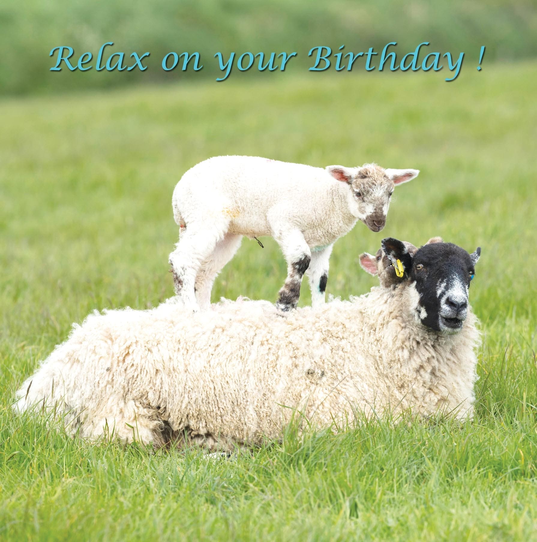 CDC344 - Birthday (Christian)