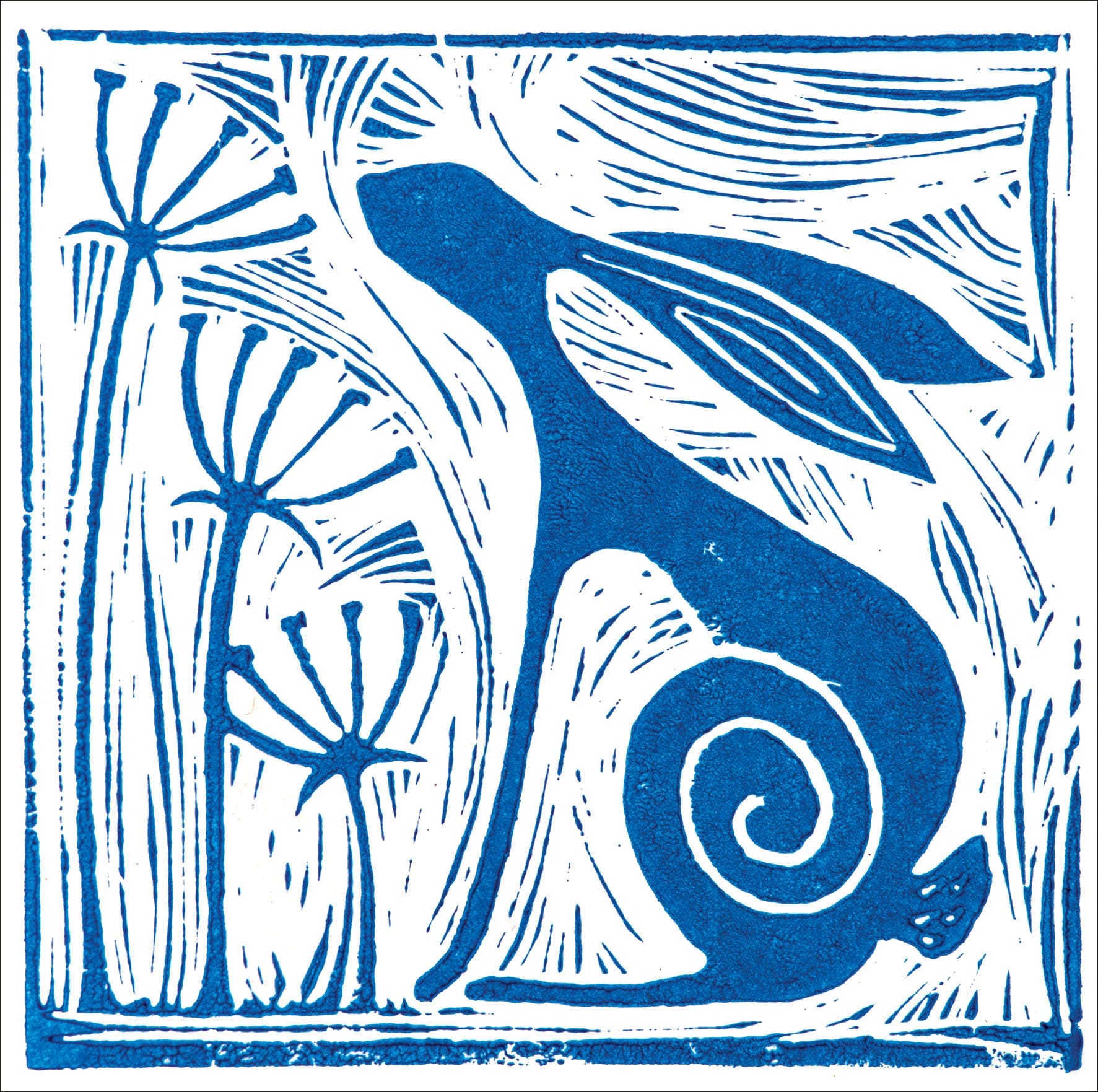Wild Blue Hare Jess Harrington Nethertons Greeting Cards